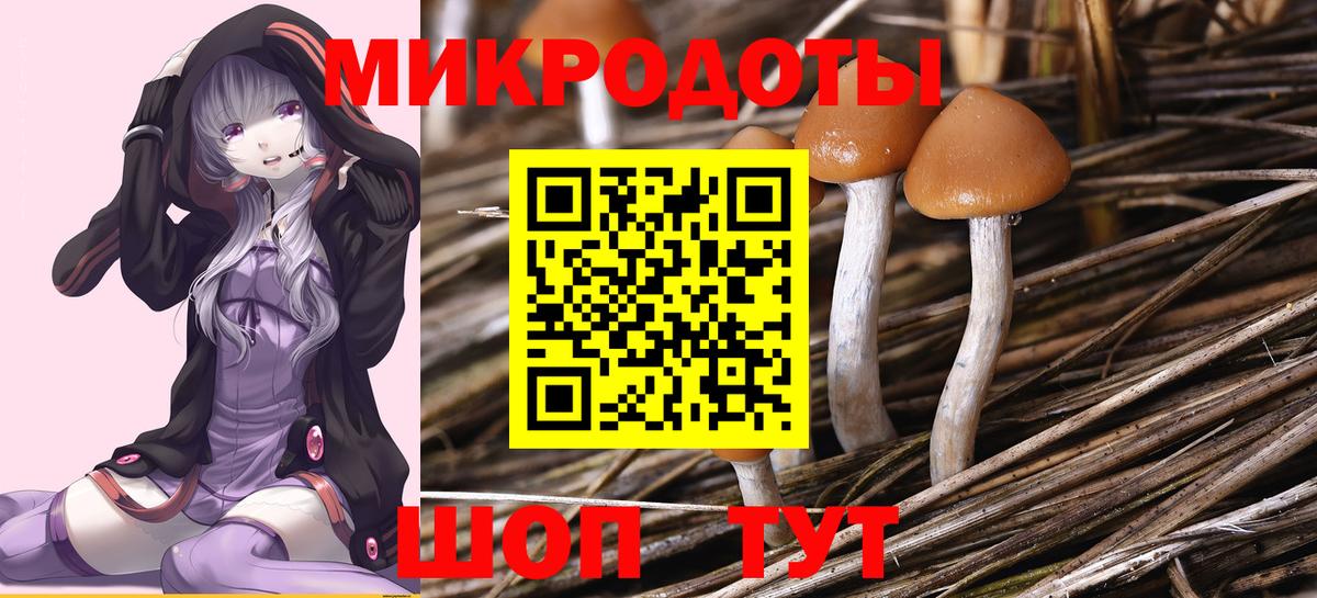 Керчь  Галлюциногенные грибы Psilocybe  Вход с VPN  Галлюциногенные грибы GOLDEN TEACHER 