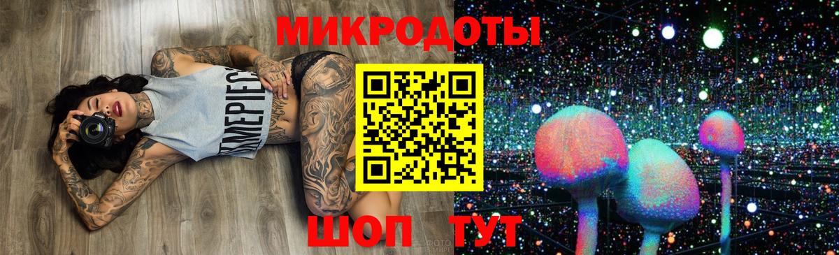 Псилоцибиновые грибы Psilocybe Керчь